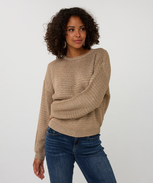 Esqualo Sweater F2507509